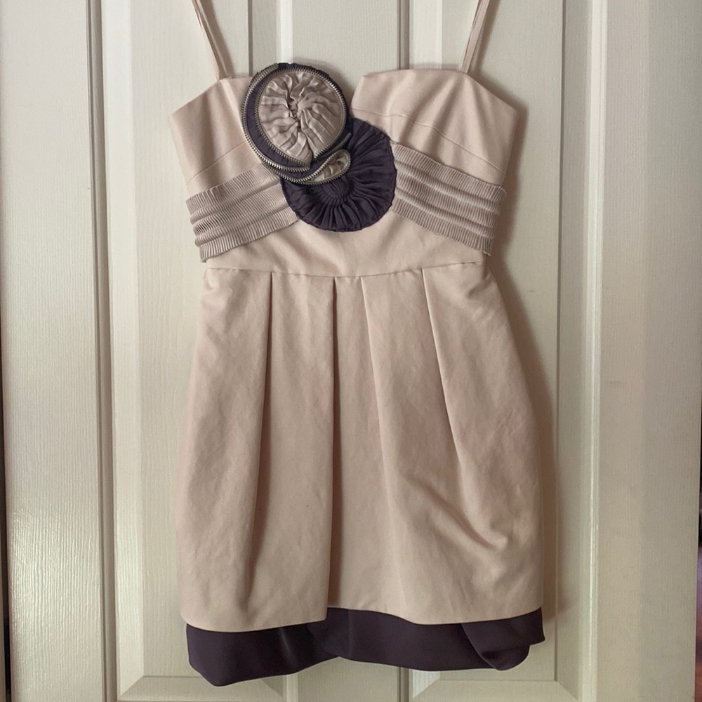 BCBG Beige Dress